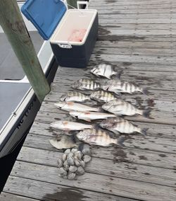 Hatteras waters are calling your name