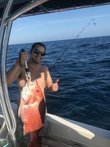 Shinny Red Snapper