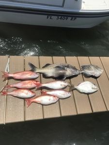 Catch of the day! Yummy Red Snapper