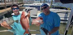 Red Snapper success!