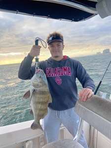 Catch of the day! A big black drum fish caught in Port Orange