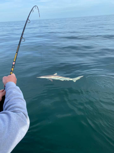Fishing adventure in Port Orange