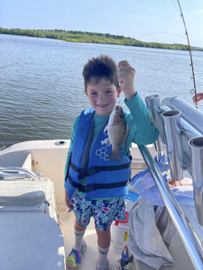 Grey Snapper fish caught while fishing in Port Orange