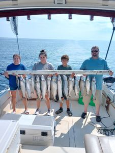 4 rainbow trout and chinook salmon in Kenosha
