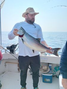 A lone lake trout caught in Wisconsin