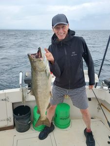 Chinook salmon fishing in WI