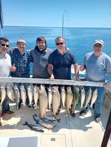 Chum salmon fishing in Kenosha