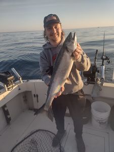 Chum salmon caught while fishing in WI