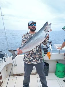 Coho salmon caught while fishing in Kenosha
