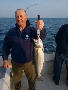 Coho salmon caught in WI