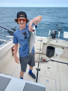 Coho salmon caught while fishing in Kenosha