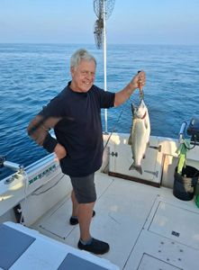 A rainbow trout caught while fishing in Kenosha