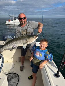 A striped bass being held by two people in ME