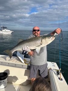Striped bass caught in ME while fishing