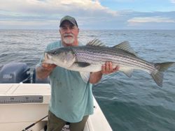 A striped bass caught while fishing in ME