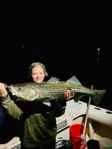 Striped bass caught in ME