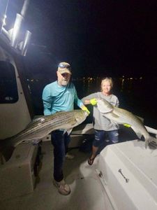 Two striped bass caught in ME
