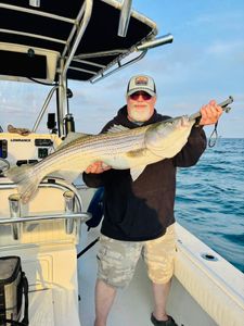 Striped bass caught while fishing in ME