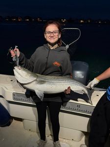 Striped bass caught at Wells Harbor