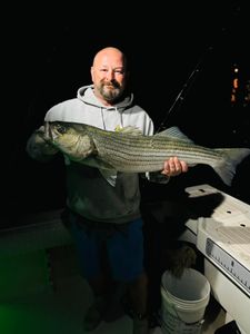 Striped bass caught in Wells Harbor