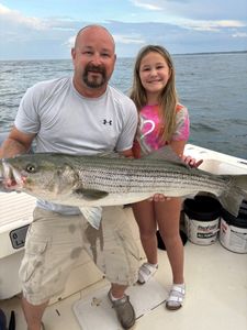 Striped bass caught at Wells Harbor