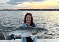 Wiper (Hybrid striped bass) caught in Wells Harbor