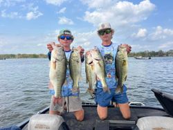 Three largemouth bass caught fishing in FL