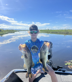 Two largemouth bass caught in Sebring