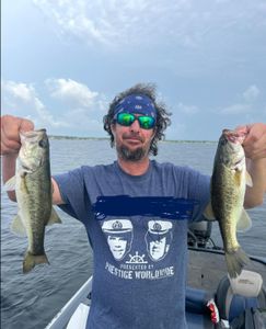 Two largemouth bass caught while fishing in Sebring
