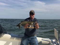 Blue catfish caught in Oak Harbor