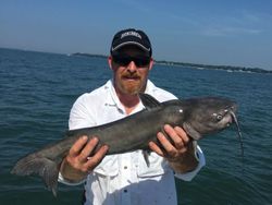 Photograph of a 27-inch blue catfish caught while fishing in Oak Harbor
