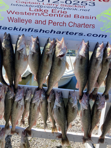 12 fish caught in OH while fishing