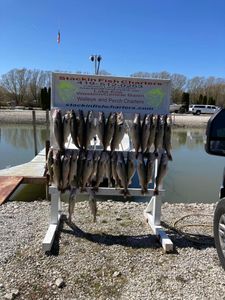 4 fish caught in OH