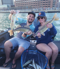 Three sauger fish caught while fishing in Detroit