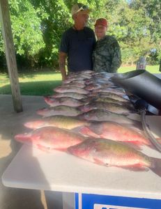 Fish-Species
