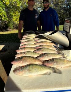 Fun morning with these guys chasing these big Mississippi crappie