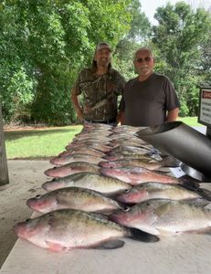 Fish-Species
