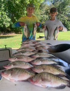Fish-Species