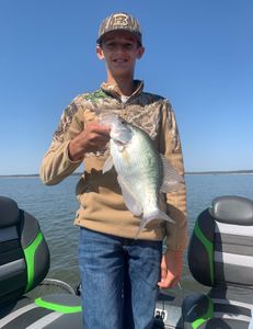 Fish-Species