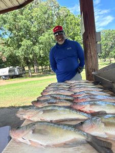 Man fishing in Batesville