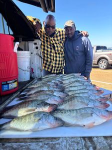 Anglers fishing in Batesville