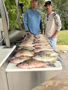 Two anglers fishing in MS