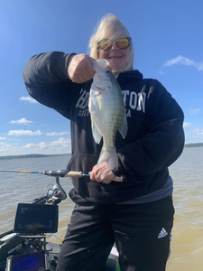 White crappie fish caught in Batesville