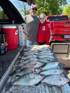 Three big fish caught during a fishing trip in Batesville