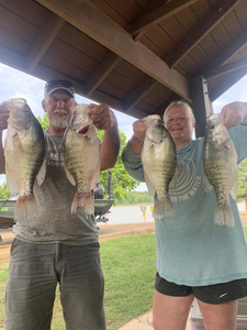 2 anglers with 4 white crappie fish caught in Batesville