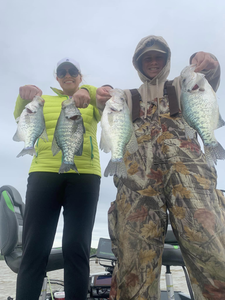 4 white crappie fish caught in MS
