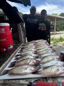 Three fish caught while fishing in MS