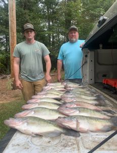 Fish-Species