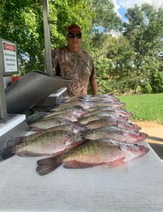Mississippi fall bite is in full swing. 
