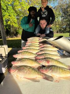 5 fish caught while fishing in Batesville